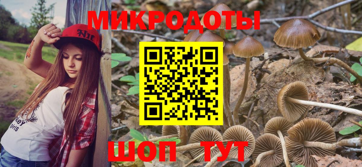 Алейск  Галлюциногенные грибы Psilocybe  Галлюциногенные грибы Cubensis  Вход с VPN 