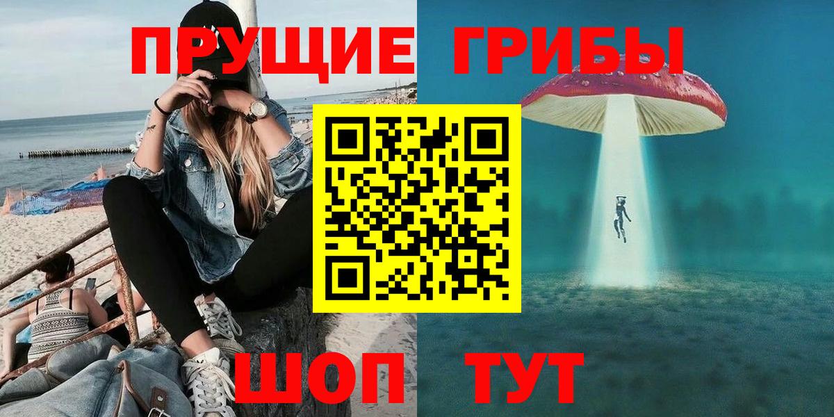 Псилоцибиновые грибы GOLDEN TEACHER Алейск