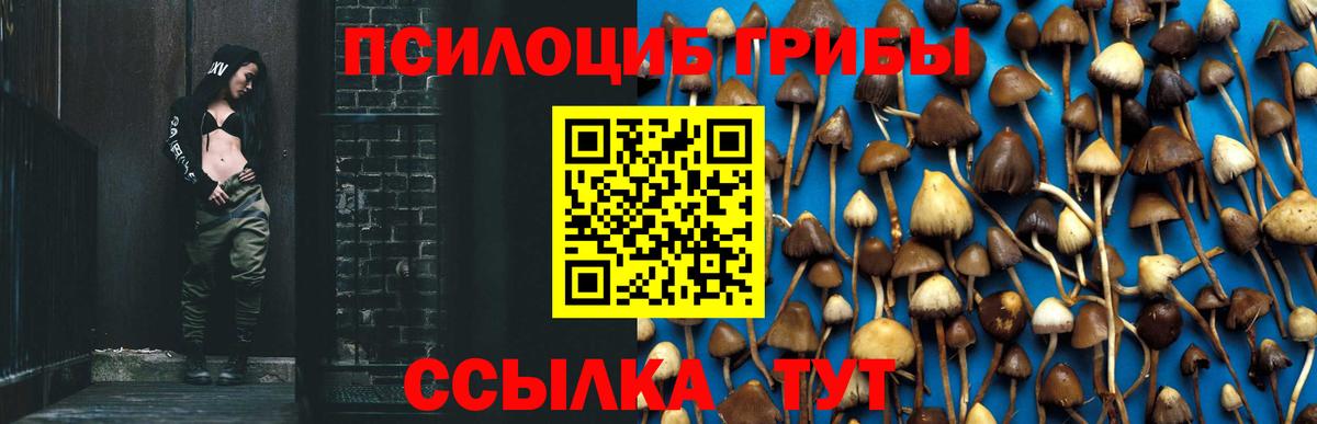 Алейск  МЕФ   ГАШИШ  Гашиш  Вход с VPN  COCAIN  Купить наркоту  Бошки Шишки 